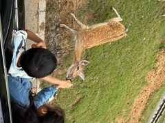 -秦皇岛野生动物园