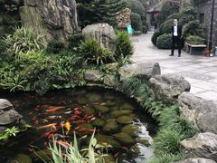 -月圆霖特色农家乐