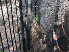 -可伦宾野生动物保护区