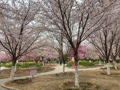-古柏渡飞黄旅游区
