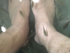 -兴芮温泉度假区