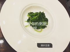清炒豆苗-成隆行·蟹王府(九江路店)