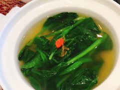 -陕西会客厅·宴会厅·唐世佳宴