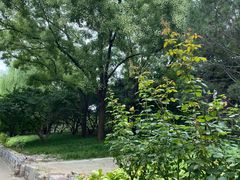 -元大都城垣遗址公园