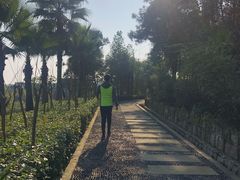 -铁山坪森林公园