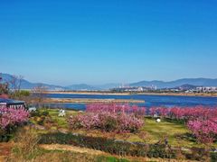 -福建鲤鱼洲酒店