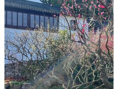 -苏州上方山国家森林公园
