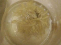 -无为足道(中南二路店)