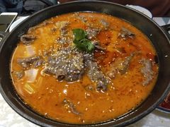-付掌柜在成都·热炒砂锅集(金禾店)