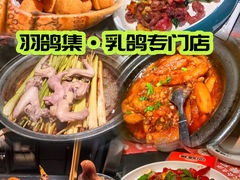 -羽鸽集·乳鸽专门店·地道顺德菜(岭南站店)