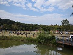 -牛岗山公园