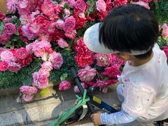 -太阳宫公园