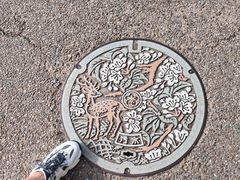 -奈良公园