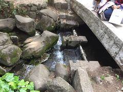 -井之头恩赐公园