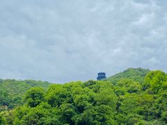 -杭州半山国家森林公园