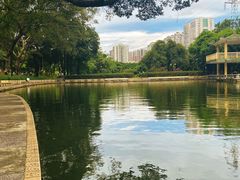 -晓港公园