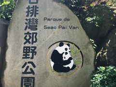 -石排湾郊野公园