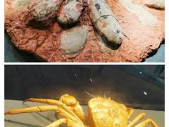 -大连自然博物馆