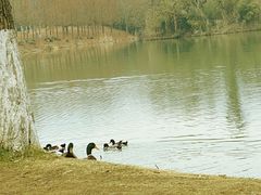 -南京东郊国宾馆