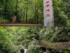 -瓦屋山景区