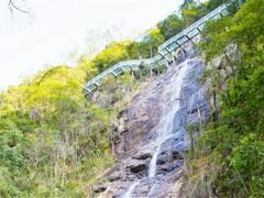 -九龙江国家森林公园