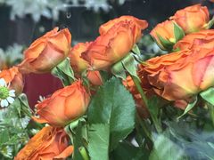 -亭亭鲜花店(中山北路店)