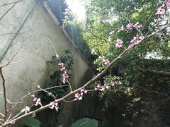 -飞霞风景名胜区