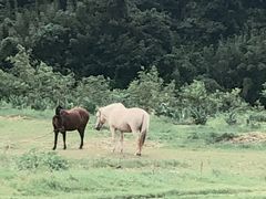-新安江山水画廊风景区