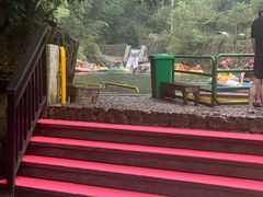 -将军关探险漂流