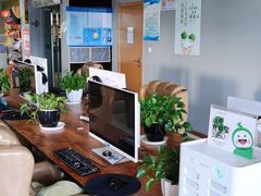 -网鱼电竞(上海青浦朱家角店)