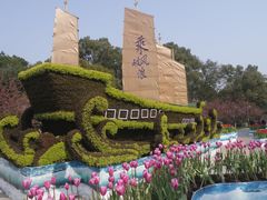 -南山植物园