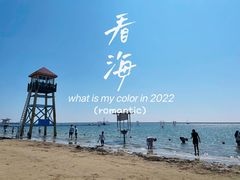 -碧海金沙