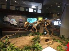 -自贡恐龙博物馆
