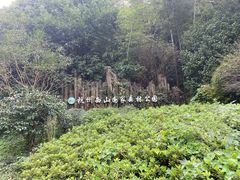 -午潮山国家森林公园