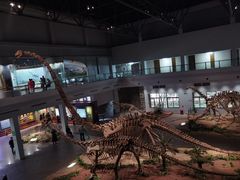 -自贡恐龙博物馆