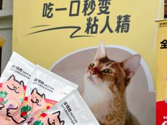 -THE CANNERY&JUJU 新鲜海鲜·牛排美食酒廊