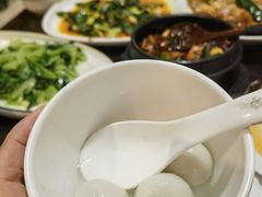 -陈麻婆豆腐(旗舰店)