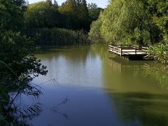 -吴淞炮台湾湿地森林公园烧烤区