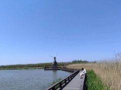-宁波杭州湾国家湿地公园