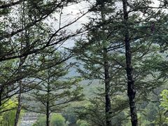 -玉龙雪山蓝月谷