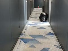 -云季酒店(西关地铁站C2出囗店)