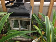 -红小满休闲餐厅(十全街店)