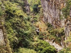 -苍山感通索道