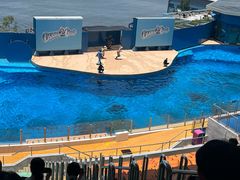 -香港海洋公园