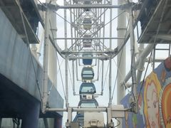-琴岛之星摩天轮
