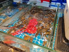 -争先鲜·蒸汽海鲜自助·鲜切牛肉