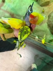 -酷嗒动物文化乐园(cutezoo西溪乐天城店)