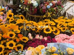 -远大购物中心(南岗店)