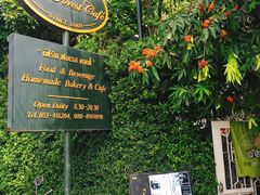 -Fern Forest Cafe