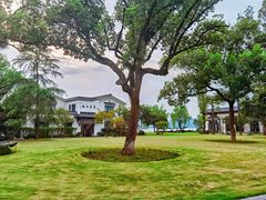 -杭州西湖柳莺里酒店·闻莺厅